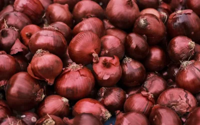 C&rsquo;est quoi les pickles ? Tout comprendre sur ces légumes fermentés