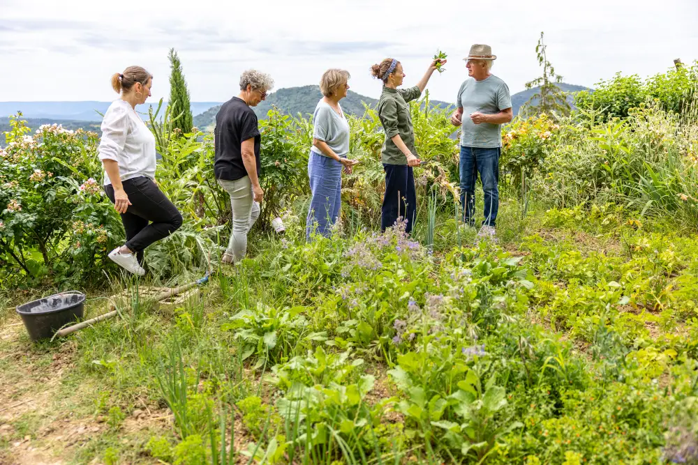 Atelier-cuisine-provençal-avignon-vaucluse-heloise-végétale-visite-potager