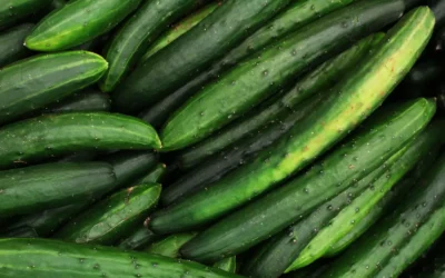 Que manger pendant la canicule ? Une recette fraîche, sans cuisson et nourrissante